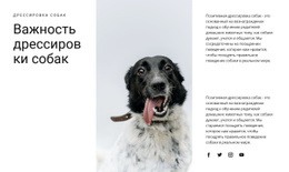 Как Вырастить Собаку – Адаптивные Шаблоны Веб-Сайтов
