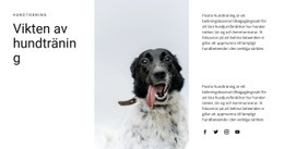 Hur Man Uppfostrar En Hund Gratis CSS-Mall