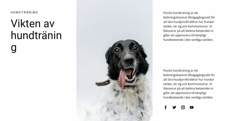 Hur man uppfostrar en hund Webbplats mall