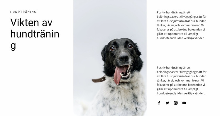 Hur man uppfostrar en hund WordPress -tema