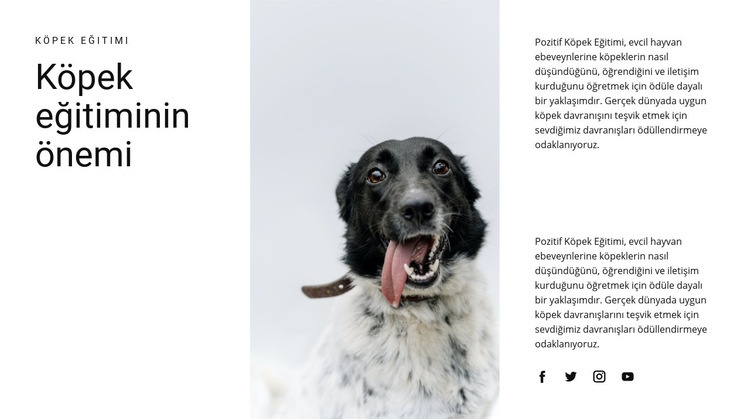 Bir köpek nasıl yetiştirilir Bir Sayfa Şablonu