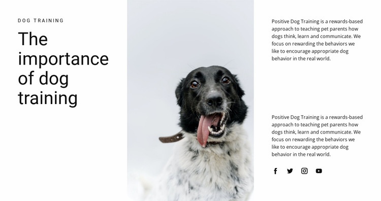How to raise a dog Web Page Design