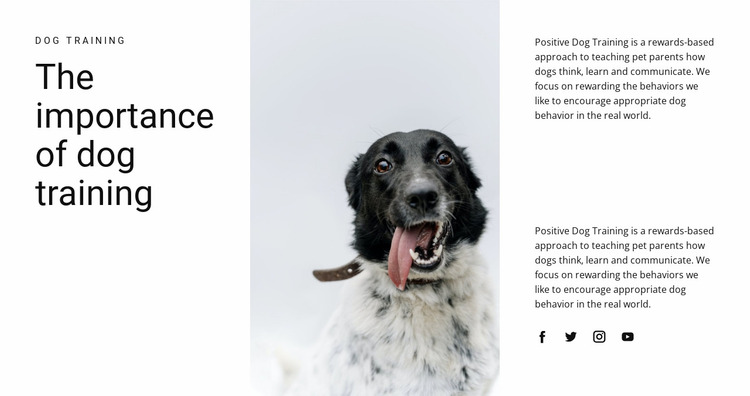 How to raise a dog Website Mockup