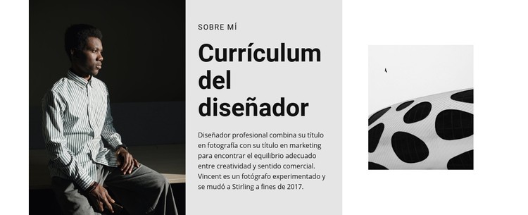 El diseñador busca trabajo Plantilla CSS