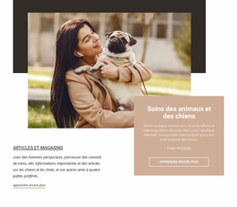 Soins Des Animaux Et Des Chiens – Modèle Joomla 2024