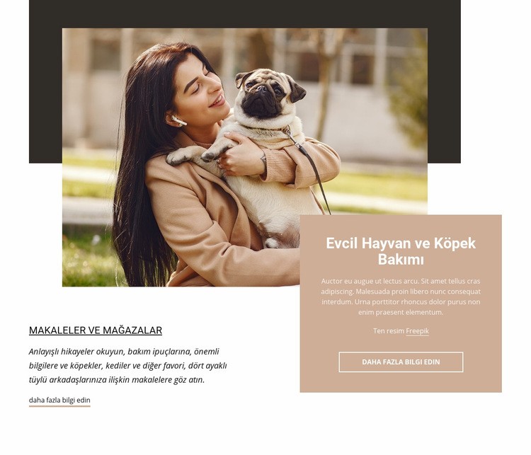 Evcil hayvan ve köpek bakımı Web Sitesi Mockup'ı