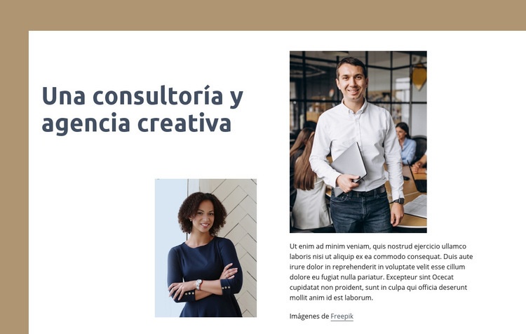 Consultoría creativa Diseño de páginas web