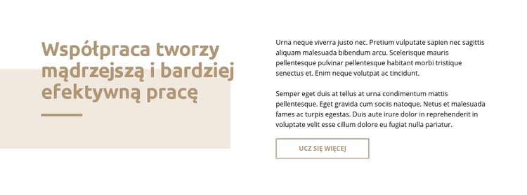 Tekst z prostokątem Szablon CSS