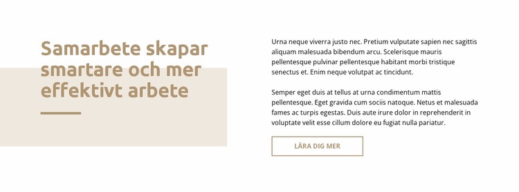 Text med rektangel WordPress -tema