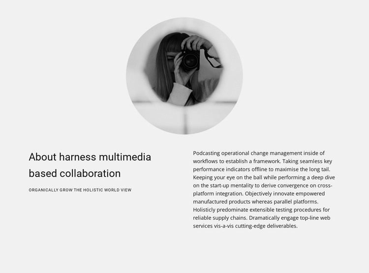 About the work of a photographer Homepage Design