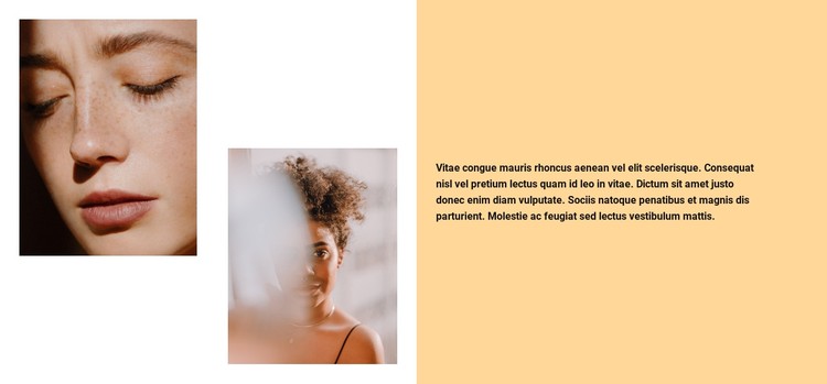Photos with delicate style CSS Template