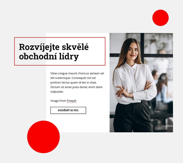 Rozvíjejte skvělé obchodní lídry Šablona HTML