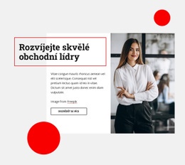 Rozvíjejte Skvělé Obchodní Lídry – Stažení Šablony Webu