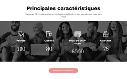 Disposition CSS Pour Caractéristiques Importantes