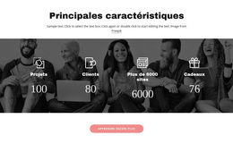 Caractéristiques Importantes – Thème WordPress