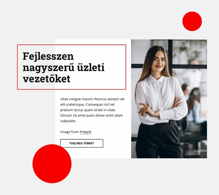 Fejlesszen nagyszerű üzleti vezetőket HTML Sablon