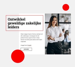 Nieuw Thema Voor Ontwikkel Geweldige Zakelijke Leiders