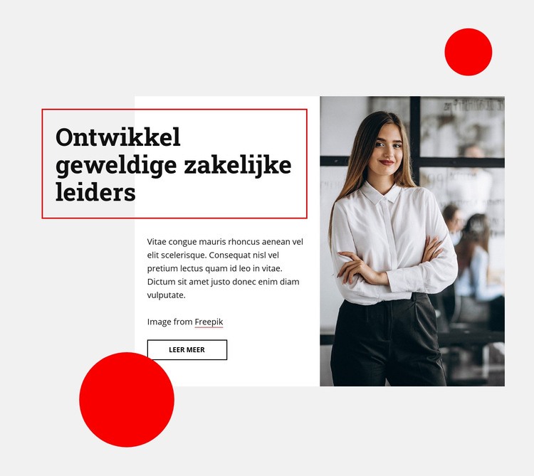 Ontwikkel geweldige zakelijke leiders Html Website Builder