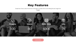 Important Features - One Page Template Inspiration