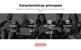 Caracteristicas Importantes - Download De Modelo HTML