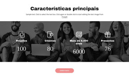 Caracteristicas Importantes - Tema CSS Gratuito