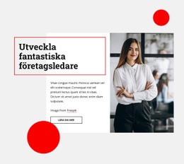 Nytt Tema För Utveckla Fantastiska Företagsledare