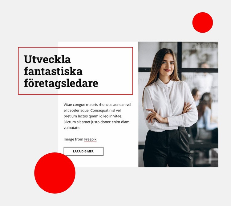 Utveckla fantastiska företagsledare HTML-mall