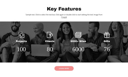 Important Features - Website Template