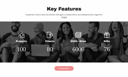 Important Features - Free Css Theme
