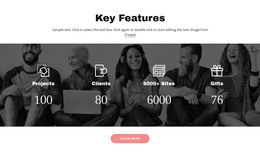Important Features - WordPress Theme