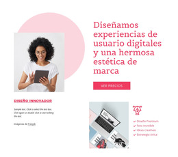 Experiencia De Usuario Digital - Plantilla Web