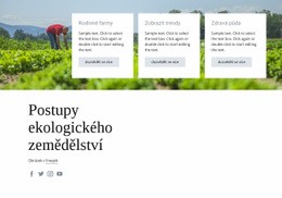 Postupy Ekologického Zemědělství Šablona HTML CSS Responzivní