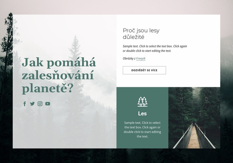 Význam lesů Téma WordPress