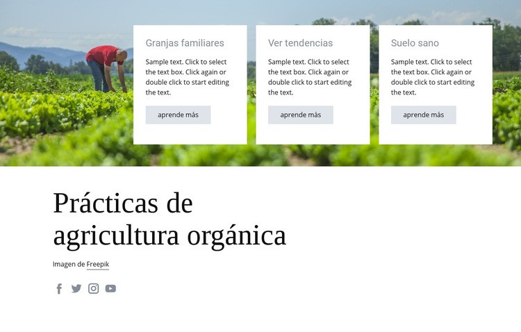 Prácticas de agricultura orgánica Maqueta de sitio web