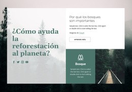 Página De Inicio Del Producto Para Importancia De Los Bosques