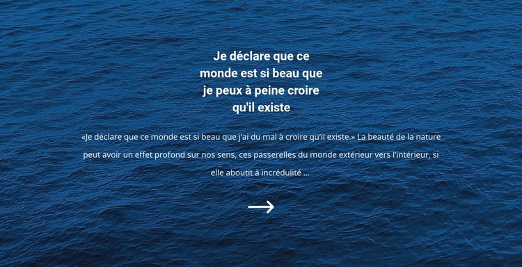 Paysages marins Conception de site Web