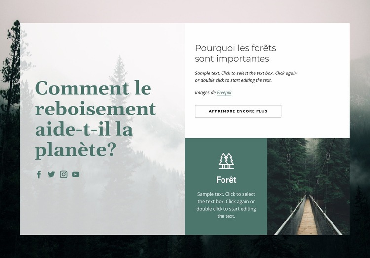 Importance des forêts Maquette de site Web