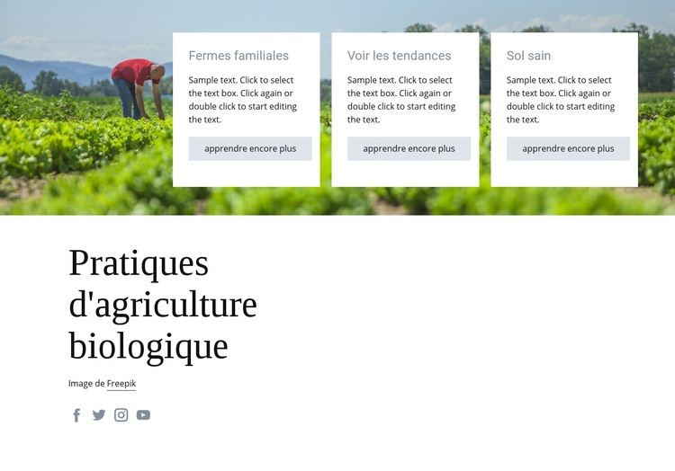 Pratiques d'agriculture biologique Maquette de site Web
