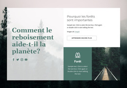 Site Web HTML Pour Importance Des Forêts