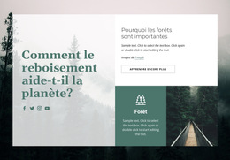 Mise En Page Multiple Intégrée Pour Importance Des Forêts