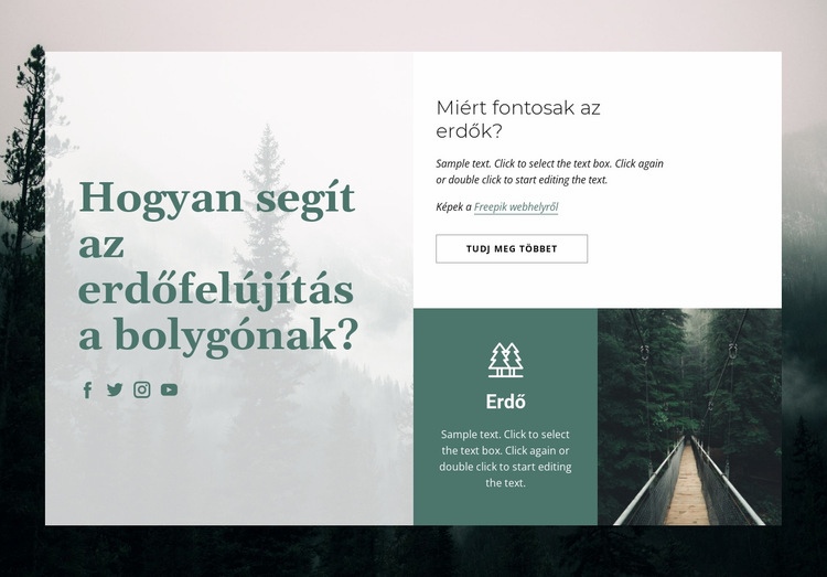 Az erdők jelentősége HTML Sablon