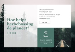 Belang Van Bossen Gratis CSS-Sjabloon