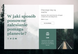 Projekt Strony Internetowej Znaczenie Lasów Na Dowolne Urządzenie