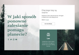 Wbudowany Wielokrotny Układ Dla Znaczenie Lasów