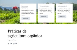 Práticas De Agricultura Orgânica - Melhor Maquete De Site