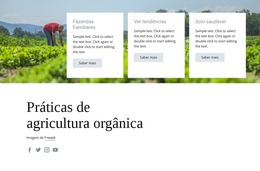 Modelo CSS Para Práticas De Agricultura Orgânica