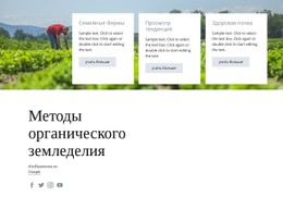 Методы Органического Земледелия Адаптивный HTML-Шаблон CSS