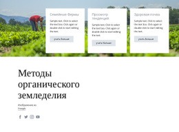 Методы Органического Земледелия – Лучший Макет Сайта