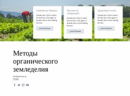 Методы Органического Земледелия – Шаблоны Веб-Сайтов