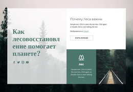 Важность Лесов – Красивая Тема WordPress